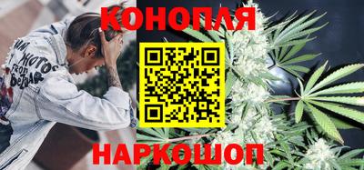 гашик Кинель
