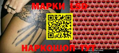 амф Кимры