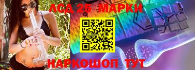 гашик Кинель
