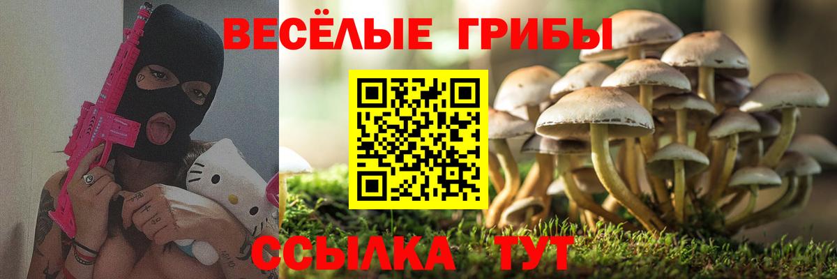 Галлюциногенные грибы Psilocybine cubensis Волоколамск